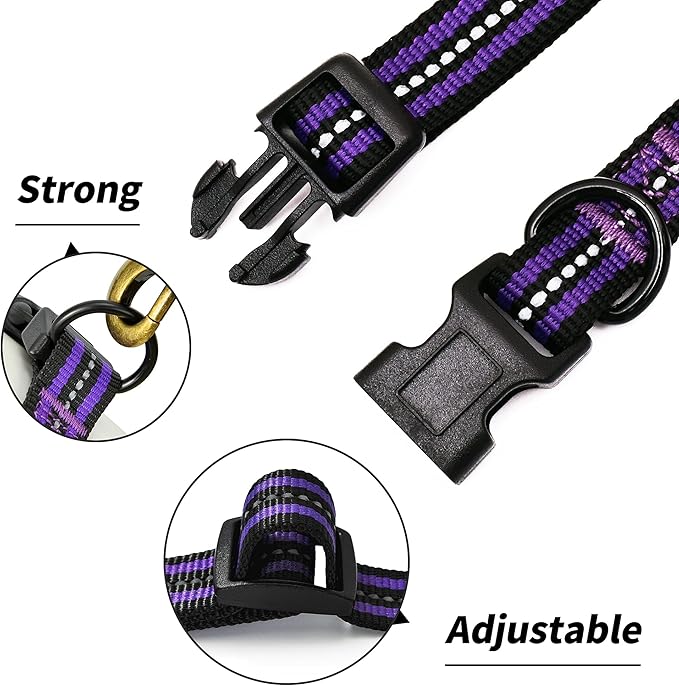 Mile High Life Reflective Dog Collar | Nylon Pet Collars wiith Buckle | Light Weight Puppy Collars | Purple Dog Collars for Large Dogs (Purple, L)