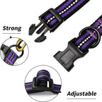 Mile High Life Reflective Dog Collar | Nylon Pet Collars wiith Buckle | Light Weight Puppy Collars | Purple Dog Collars for Small Dogs (Purple, X-S)