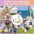QDAN Dog Toys Soccer Ball with Straps, Durable Dog Balls for Tug of War, Puppy Birthday Gifts, Dogs Water Toy Small Dogs-Rainbow（5 Inch）