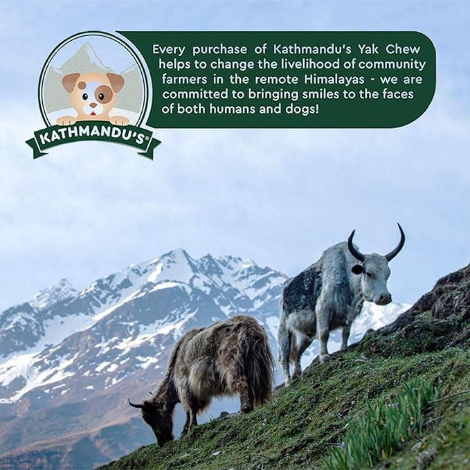 100% Natural Himalayan Yak Cheese for Dogs - Mega (Pack of 5) - Sourced from Pristine Himalayan Foothill, Rawhide-Free, NO preservatives
