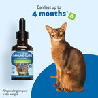 Pet Wellbeing Immune Sure for Cats - Supports Normal Immune Defenses, Gut Flora Balance, Andrographis, Echinacea, Vitamin C, Zinc - Veterinarian-Formulated Herbal Supplement 2 fl oz (59 ml)