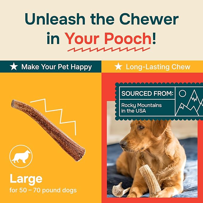 100% Natural - Elk Antlers for Dogs - Naturally Shed in USA - Long Lasting Chews for Aggressive Chewers - Natural, Real Dog Antler Treats & Toys - Dog Chews - No Odor & No Mess - Large