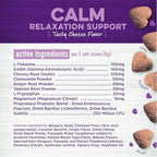 Wellness Tasty Cheese Flavored Soft Chews Calming Supplements for Dogs, 45 Count