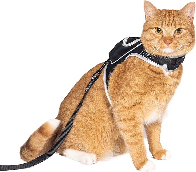 Travel Cat & Stray Cat Harness and Leash Set - Adjustable Velcro Mesh Cat Harness and Strong Nylon Leash Kit - Comfort Escape Proof Harness for Cats, Kitten for Outdoor Walking (Large: 13-16 in)
