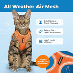 Voyager Escape-Proof Step-in Lock Cat Harness & 5ft Neoprene-Handle Leash Set All-Weather Mesh with Reflective Stitching for Small to Large Cats by Best Pet Supplies, Orange (327), XS