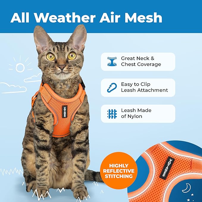 Voyager Escape-Proof Step-in Lock Cat Harness & 5ft Neoprene-Handle Leash Set All-Weather Mesh with Reflective Stitching for Small to Large Cats by Best Pet Supplies, Orange (327), S