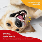 Beefeaters Beefhide 5in Twist with Real Chicken – Protein-Rich Dog Treats for Clean Teeth, Ideal for Training & All Dog Sizes