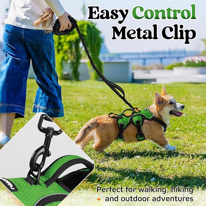 rabbitgoo Escape Proof Dog Harness, Soft Padded Full Body Pet Harness, Reflective Adjustable No Pull Vest with Lift Handle and Lesh Clip for Large Dogs Walking Hiking Training, S, Green