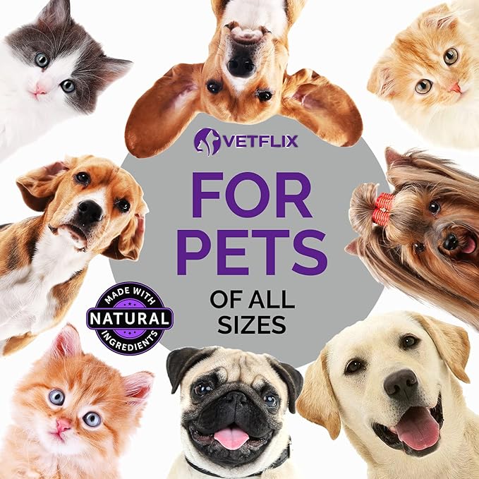 Balance Pet Adrenal Support for Dogs & Cats - Made in USA - Cushing's & Kidney Support Supplement - Natural Endocrine Health Formula - 2 Fl Oz