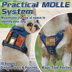 rabbitgoo Dog Harness No Pull, Military Dog Harness Medium Sized Dog with Handle & Molle, Easy Control Service Dog Vest Harness Training Walking, Adjustable Reflective Tactical Pet Harness, Blue, M