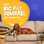 Dog Dog Big Fat Squirrel Plush Chew Toy Stuffed Animal with Squeaker and Smooth Fur and Durable Fabric with Fluffy Tail Surprised Look for Dogs, Kids and Animals