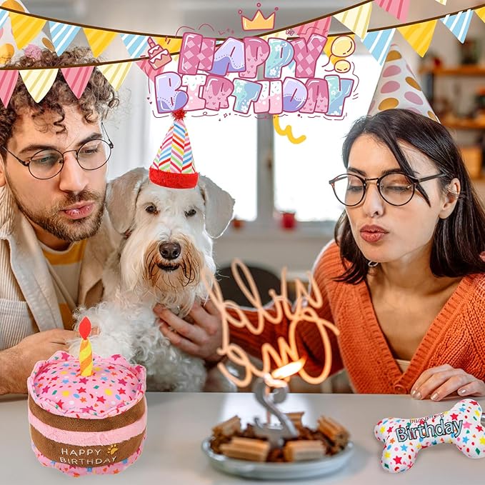 SCENEREAL Dog Birthday Squeaky Toy Set, 5 Pcs Stuffed Plush Pet Toys Birthday Gift for Dogs Boys and Girls Birthday Party, Cute Durable Interactive Puppy Teething Chew Toys for Small Medium Dogs