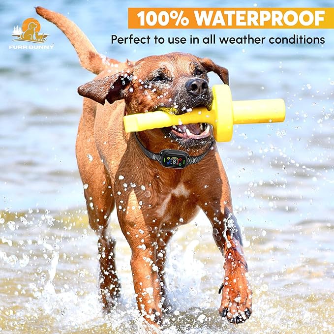 2025 Upgraded Intelligent Dog Bark Collar for Medium and Large Dogs - Beep, Vibration and Safe Static Shock, 7 Sensitivity Levels Adjustment - Effective Training to Stop Excessive Barking Fast