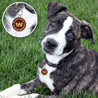 NFL Washington Commanders Engraving Pet ID Tags in 32 Team Logo Shapes Personalized Dog Tags and Cat Tags with 3 Lines of Customizable Text for Tracking & Safety. Stainless Steel Pet ID Tracking Tags