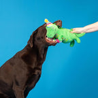 Fringe Studio Plush Dog Toy, I’M How Old?, Pet Shop Collection (314595)