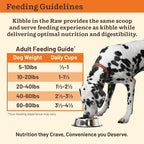 Primal Kibble in The Raw, Freeze Dried Dog Food, Beef, Scoop & Serve, Made with Raw Protein, Whole Ingredient Nutrition, Crafted in The USA, Dry Dog Food 5.4 lb Bag