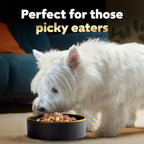 Cesar Simply Crafted Adult Wet Dog Food Meal Topper, Chicken, Duck, Purple Potatoes, Pumpkin, Green Beans & Brown Rice, 1.3oz. (10 Count, Pack of 1)