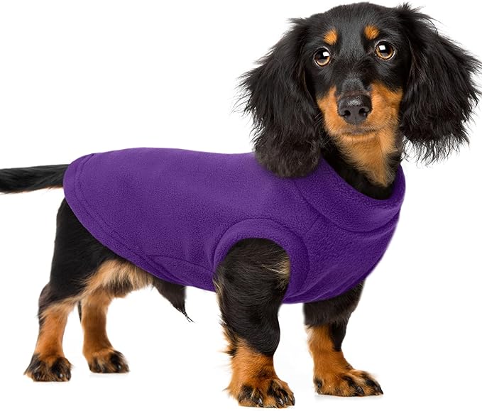 PUMYPOREITY Fleece Sphynx Cat Clothes, Warm Thick Cat Sweater, Soft Winter Coat for Hairless Cats, Cold Weather Pet Sweater for Dogs and Cats, Purple, 2XL