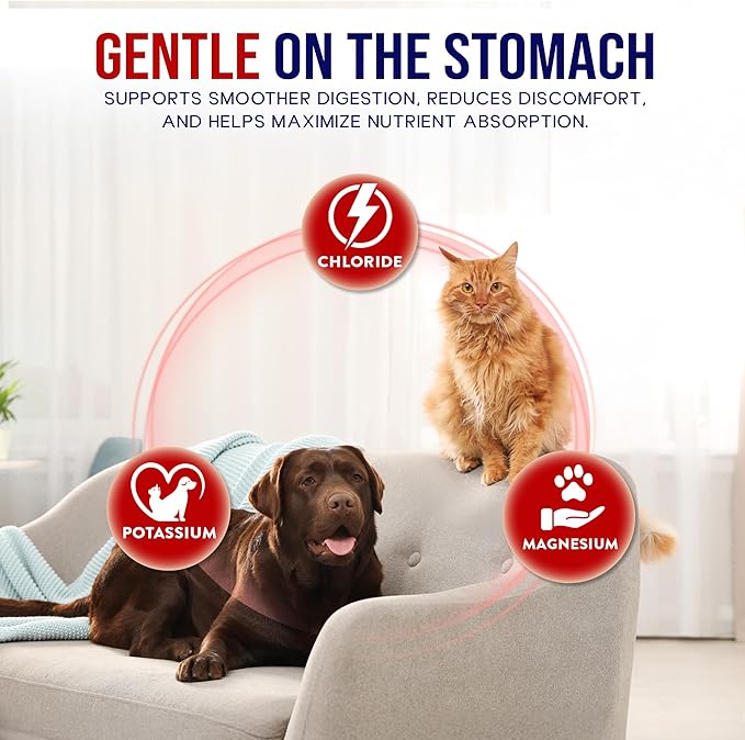 Impact Digestive Enzymes for Dogs and Cats - 75 Servings - Enzyme Powder for Digestion - Pancreatic Enzymes for Dogs and Cats - Digestive, Weight & Pancreatic Issues - Made in USA