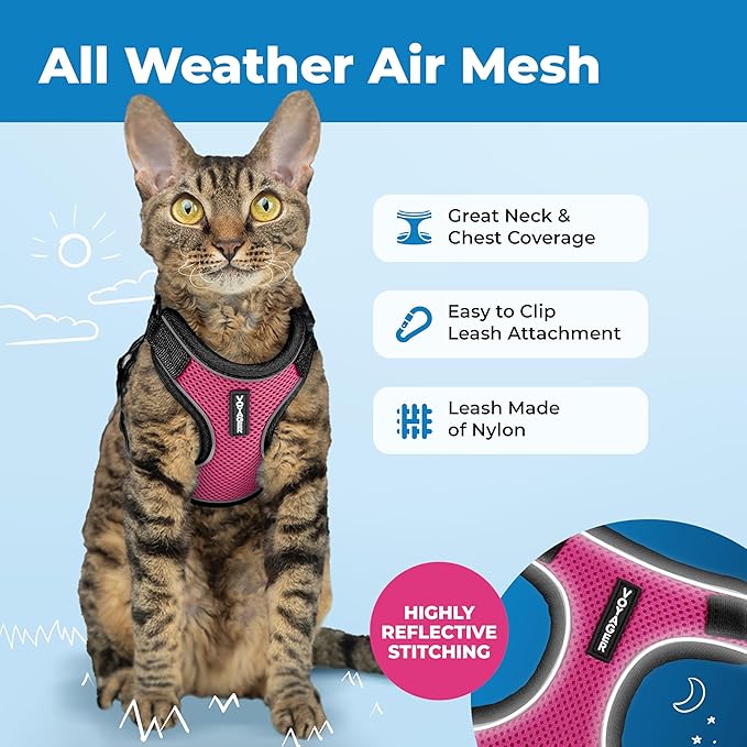 Voyager Escape-Proof Step-in Lock Cat Harness & 5ft Neoprene-Handle Leash Set All-Weather Mesh with Reflective Stitching for Small to Large Cats by Best Pet Supplies, Black Trim-Fuchsia (327), XS