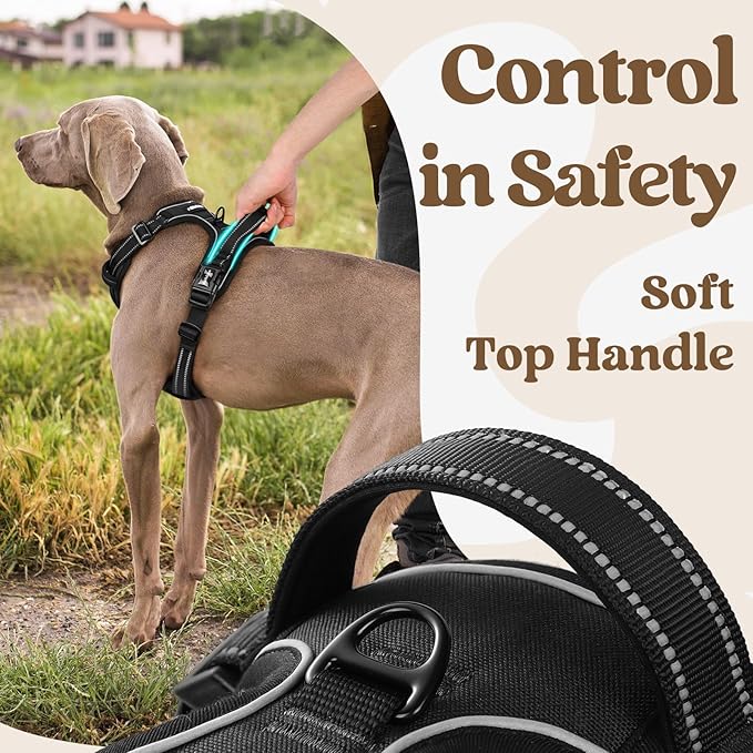 rabbitgoo Dog Harness Small Sized, No Pull Pet Harness with 3 Buckles, Adjustable Soft Padded Vest with Control Handle, Walking Reflective Pet Vest for Small Dogs, Black, S