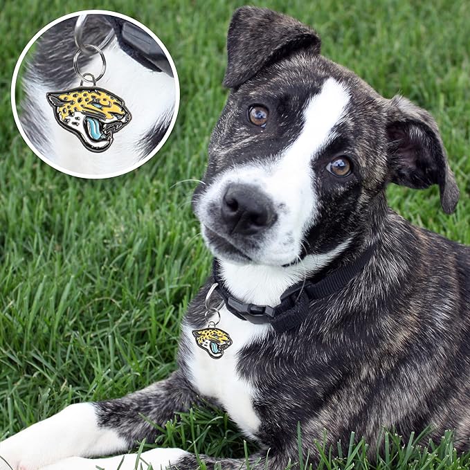 NFL Jacksonville Jaguars Engraving Pet ID Tags in 32 Team Logo Shapes Personalized Dog Tags and Cat Tags with 3 Lines of Customizable Text for Tracking & Safety. Stainless Steel Pet ID Tracking Tags