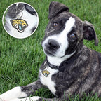 NFL Jacksonville Jaguars Engraving Pet ID Tags in 32 Team Logo Shapes Personalized Dog Tags and Cat Tags with 3 Lines of Customizable Text for Tracking & Safety. Stainless Steel Pet ID Tracking Tags