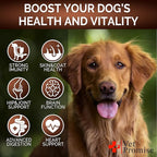 (2 Pack) Mushroom for Dogs - 340 Chews - Turkey Tail - Mushroom Supplement for Dogs - Lions Mane - Reishi - Immunity Support Multivitamin Vitamins - Joint Health - Energy - Gut - Skin - Made in USA