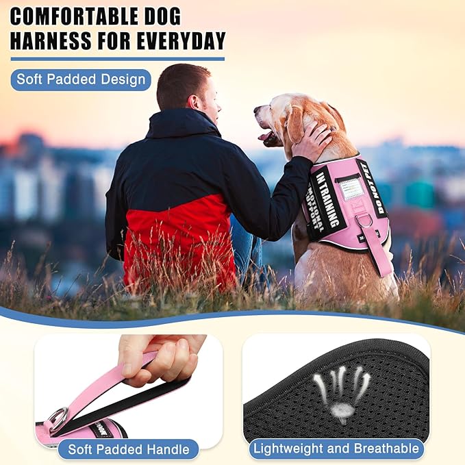 Service Dog Vest Harness+ID Tag+10 Patches,Metal Serivce Dog Tag&Reflective Emotional Support Dog Vest with Handle for Large Dogs,Easy Put On/Off for Training/Walking/Everyday Pink L