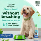 TropiClean Fresh Breath Advanced Whitening Water Additive for Dogs, Max Strength Dog Teeth Cleaning and Breath Freshener Solution, 16oz