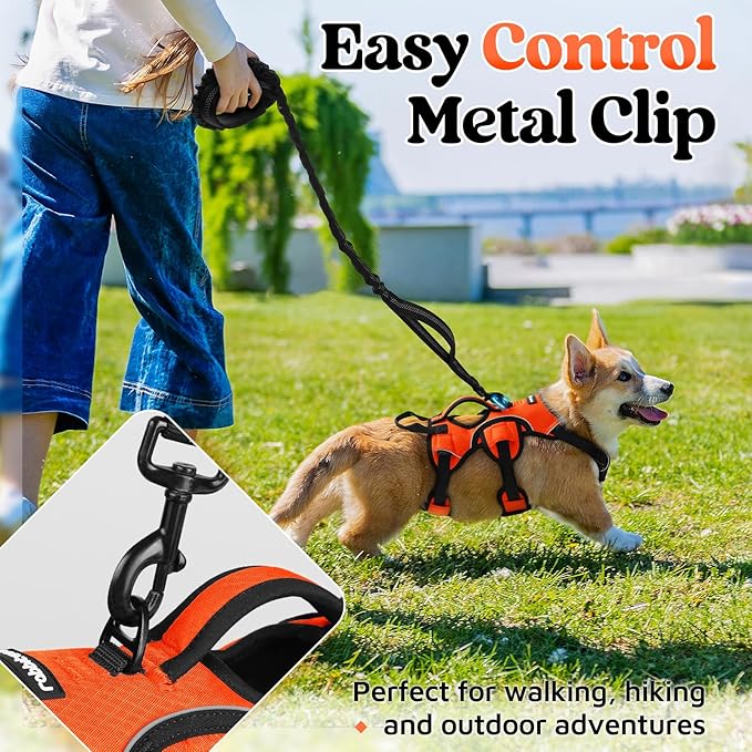 rabbitgoo Escape Proof Dog Harness, Soft Padded Full Body Pet Harness, Reflective Adjustable No Pull Vest with Lift Handle and Lesh Clip for Large Dogs Walking Hiking Training, S, Orange