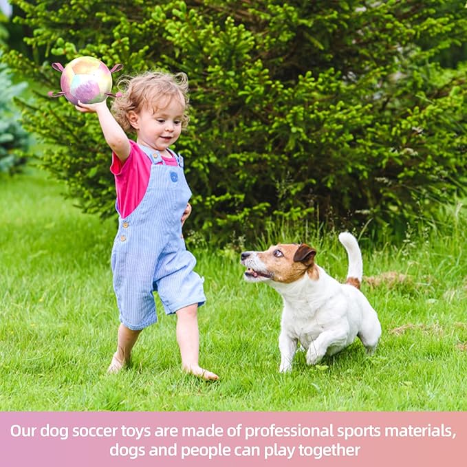 QDAN Dog Toys Soccer Ball with Straps, Durable Dog Balls for Tug of War, Puppy Birthday Gifts, Dogs Water Toy Small Dogs-Rainbow（5 Inch）