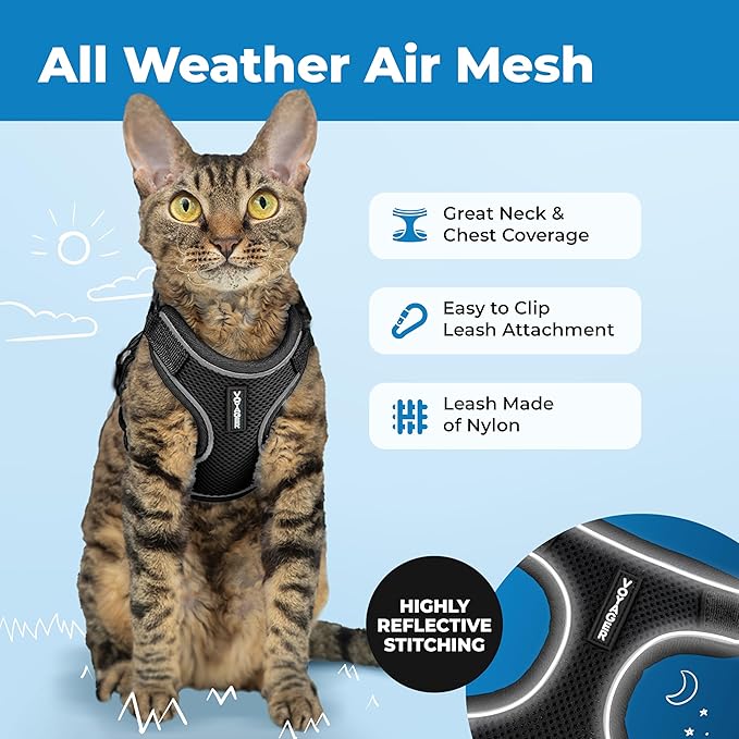 Voyager Escape-Proof Step-in Lock Cat Harness & 5ft Neoprene-Handle Leash Set All-Weather Mesh with Reflective Stitching for Small to Large Cats by Best Pet Supplies, Black (327), XS