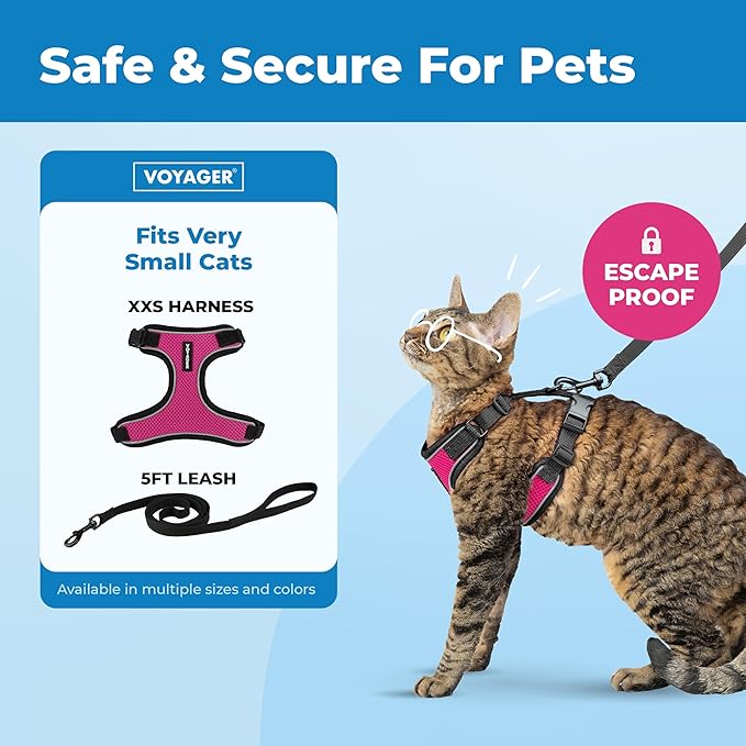 Voyager Escape-Proof Step-in Lock Cat Harness & 5ft Neoprene-Handle Leash Set All-Weather Mesh with Reflective Stitching for Small to Large Cats by Best Pet Supplies, Black Trim-Fuchsia (327), XXS