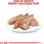 Royal Canin Feline Breed Nutrition Persian Adult Loaf in Sauce Cat Food, 3 oz (Pack of 24)