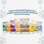Canine Caviar - Special Needs: Chicken & Brown Rice Alkaline Dry Dog Food, Limited Ingredients, Gluten-Free, Based on Science & Research, Veterinary Alternative Diet (4.4 Pound Bag)