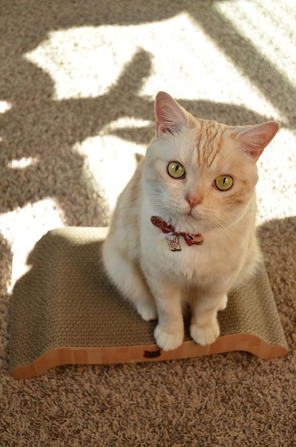 Necoichi Cardboard Cat Scratcher Bed for Indoor Cats - Cat Scratching Board, Horizontal Cat Scratch Pad Lounger with Reversible Usability and Extra Comfort for Lounge, Curved (17" Regular, Oak)