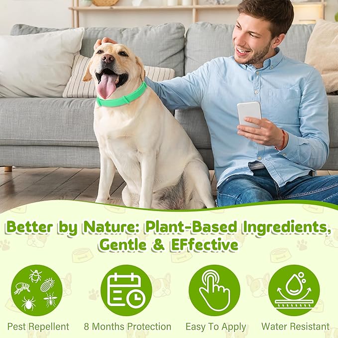 Natural Flea & Tick Prevention Dog Collars – 2-Pack Adjustable Waterproof Collars with Essential Oils (Lemon Eucalyptus, Citronella, Lavender, Linalool), Safe for All Breeds