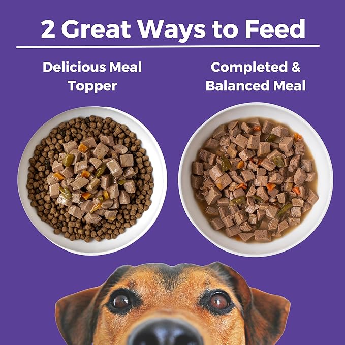 KOHA Memphis BBQ Stew for Dogs with Chicken and Pork, High Protein Wet Dog Food, 12.7oz Cans (Case of 12)