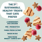 Shameless Pets Crunchy Cat Treats - Kitty Treats for Cats with Digestive Support, Natural Kitten Treats with Real Chicken, Healthy Flavored Feline Snacks - Cran You Say Chicken, 12 oz
