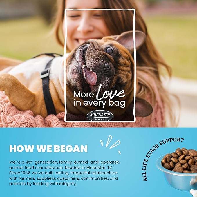 Muenster Ancient Grains Chicken Dry Dog Food, 4lb - Gluten-Free, High Protein, Digestive Support