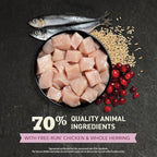 ACANA Dry Cat Food for Kittens, First Feast, Free Run Chicken and Whole Herring, 4lb