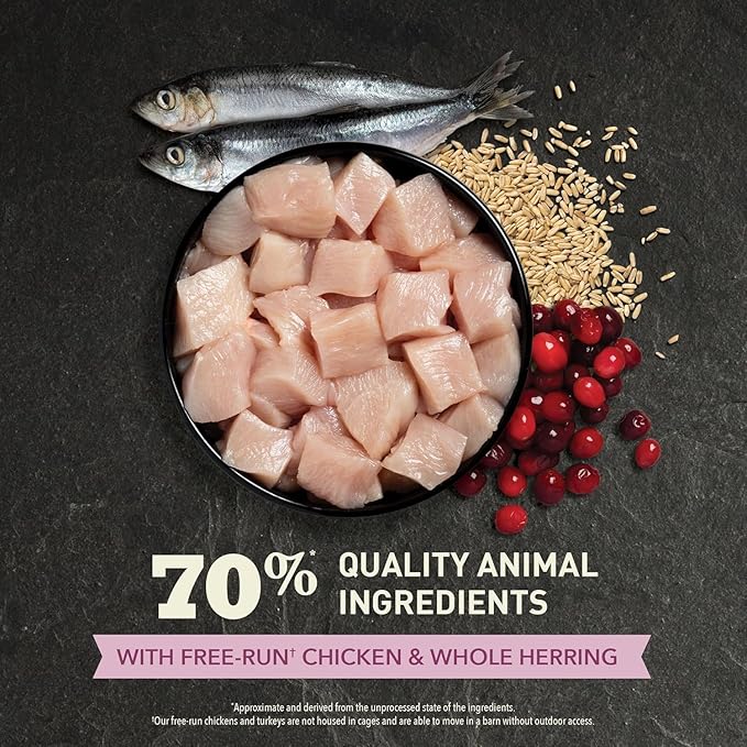 ACANA Dry Cat Food for Kittens, First Feast, Free Run Chicken and Whole Herring, 4lb