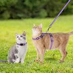 PAWCHIE Cat Harness with Leash and Collar Set - Escape Proof Adjustable H-shped Cat Harness with Star and Moon Pattern Glow in The Dark for Kitty Outdoor Walking