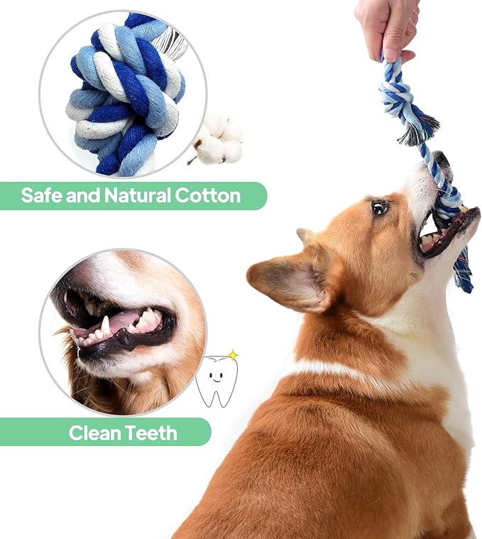 TwoEar Dog Rope Toy 4 Pack - Puppy Teething Toys for Small Breed - Indestructible Dog Chew Toys for Aggressive Chewers - Cotton Tug of War Dog Toys for Boredom, Teeth Clean