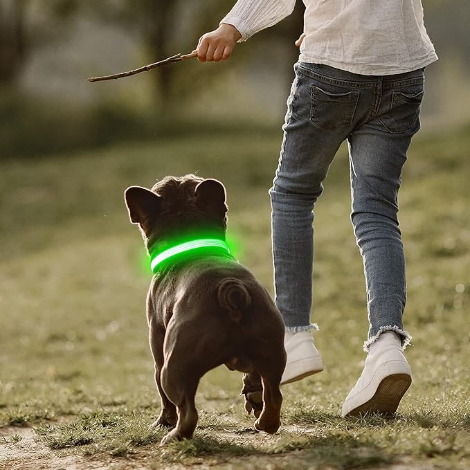 YFbrite Full Adjustbale LED Dog Collar, Full Illuminated Light up Dog Collars, Reflective Dog Collar Light Glowing in The Dark for All Dogs Safety (Large, Green-2)