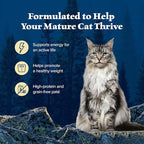 Blue Buffalo Wilderness High-Protein & Grain-Free Wet Cat Food Paté for Adult Cats 7+, Made with Natural Ingredients, Chicken Recipe, 3-oz. Cans (24 Count)