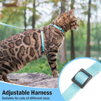 PUPTECK Adjustable Cat Harness and Leash Set Escape Proof Kitten Strap Collar for Walking Travel, SkyBlue