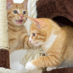 6-Tier Cat Tower- Cushioned Pet Bed, Napping Perches, Kitty Condo Hut, and Spring Arms with 3 Hanging Toys Fully Carpeted by PETMAKER (Brown/Beige)