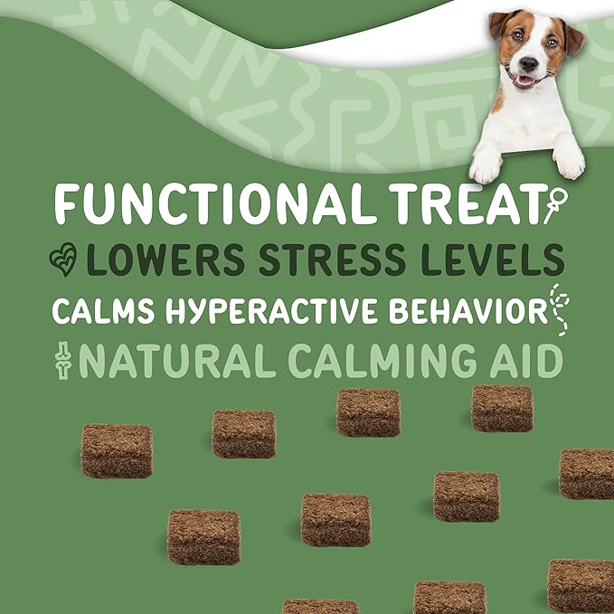 waggedy Calm Max — Calming Chews for Dogs for Balanced Behaviour & Anxiety Relief — Calming Dog Treats for Travel, Fireworks & Separation — Dog Supplements & Vitamins (60 Chews)